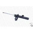 Amortisseur avant gauche MONROE 401073RM - Visuel 3