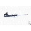 Amortisseur avant droit MONROE 401076RM - Visuel 2