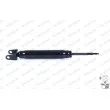 Jeu de 2 amortisseurs arrière MONROE 911304MM - Visuel 1