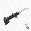 Jeu de 2 amortisseurs arrière MONROE D0005 - Visuel 3