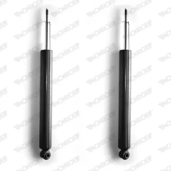 Jeu de 2 amortisseurs arrière MONROE D4005