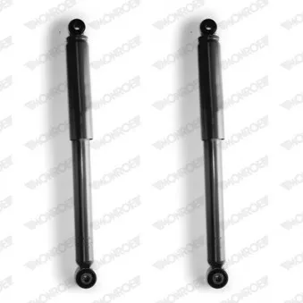 Jeu de 2 amortisseurs arrière MONROE D7017