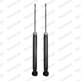 Jeu de 2 amortisseurs arrière MONROE D7023
