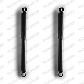 Jeu de 2 amortisseurs arrière MONROE D7606