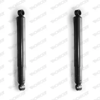 Jeu de 2 amortisseurs arrière MONROE D7703