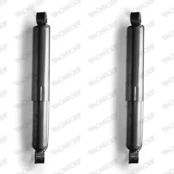 Jeu de 2 amortisseurs arrière MONROE D8009