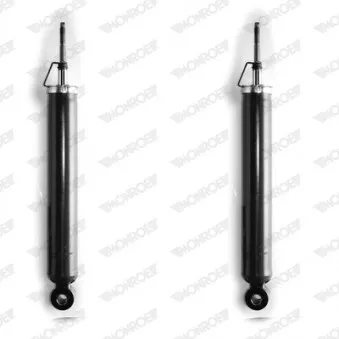 Jeu de 2 amortisseurs arrière MONROE D8020