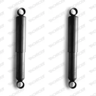 Jeu de 2 amortisseurs arrière MONROE D8064