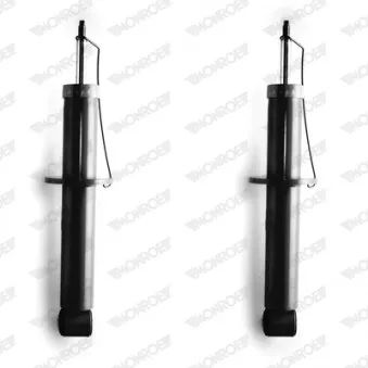 Jeu de 2 amortisseurs arrière MONROE D8071