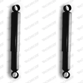 Jeu de 2 amortisseurs arrière MONROE D8409