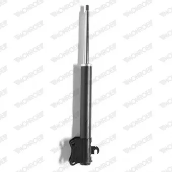 Jeu de 2 amortisseurs arrière MONROE G15020