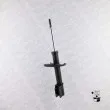 Jeu de 2 Amortisseurs avant MONROE G7467 - Visuel 2