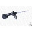 Amortisseur avant droit MONROE G8093 - Visuel 3