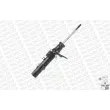 Amortisseur avant droit MONROE G8099 - Visuel 2