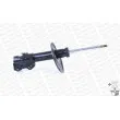 Amortisseur avant droit MONROE G8119 - Visuel 3