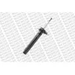Amortisseur avant droit MONROE G8163 - Visuel 1