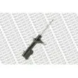 Amortisseur avant droit MONROE G8401 - Visuel 3