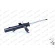 Amortisseur avant droit MONROE G8801 - Visuel 2