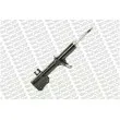 Amortisseur avant droit MONROE G9501 - Visuel 2