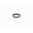 Appareil d'appui à balancier, coupelle de suspension MONROE MK006 - Visuel 2