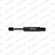 Vérin, capot-moteur MONROE ML5517 - Visuel 1