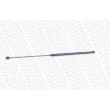 Vérin, capot-moteur MONROE ML6079 - Visuel 3