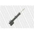 Amortisseur avant gauche MONROE R11293 - Visuel 2