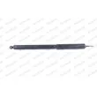 Amortisseur de direction MONROE R2797 - Visuel 1