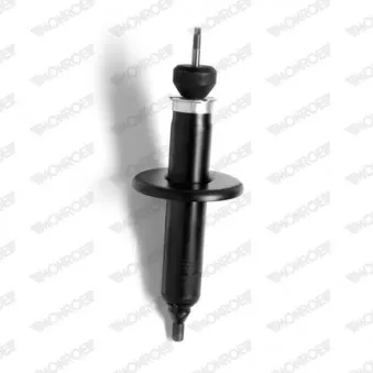 Jeu de 2 Amortisseurs avant MONROE R6517