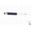 Jeu de 2 amortisseurs arrière MONROE R6528 - Visuel 2