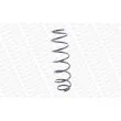 Ressort de suspension MONROE SE2934 - Visuel 3