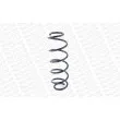 Ressort de suspension MONROE SE3581 - Visuel 2