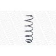 Ressort de suspension MONROE SE3581 - Visuel 3