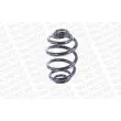 Ressort de suspension MONROE SN2276 - Visuel 2