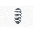 Ressort de suspension MONROE SN2783 - Visuel 3