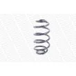 Ressort de suspension MONROE SN3464 - Visuel 3