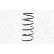 Ressort de suspension MONROE SP0001 - Visuel 3