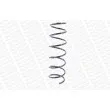 Ressort de suspension MONROE SP0040 - Visuel 3