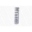 Ressort de suspension MONROE SP0350 - Visuel 3