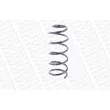 Ressort de suspension MONROE SP2094 - Visuel 2