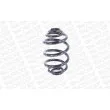 Ressort de suspension MONROE SP2192 - Visuel 2