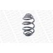 Ressort de suspension MONROE SP2192 - Visuel 3