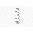 Ressort de suspension MONROE SP2351 - Visuel 3
