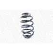 Ressort de suspension MONROE SP2783 - Visuel 2