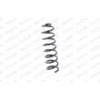 Ressort de suspension MONROE SP2899 - Visuel 1