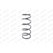 Ressort de suspension MONROE SP2910 - Visuel 1