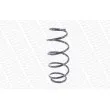 Ressort de suspension MONROE SP2930 - Visuel 3