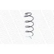 Ressort de suspension MONROE SP3419 - Visuel 3