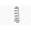 Ressort de suspension MONROE SP3768 - Visuel 3
