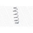 Ressort de suspension MONROE SP3802 - Visuel 2